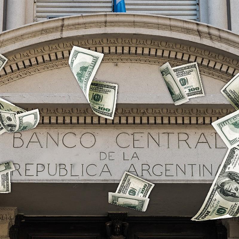 Acceso a Dólares: Relevamiento Obligatorio para Importadores y Exportadores