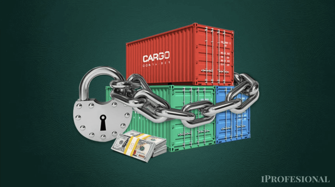 La odisea para poder importar: qué exige la AFIP a las empresas para superar el cepo